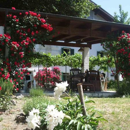 Casa Di Alfredo B&B - Citr9039 Mioglia Exterior foto